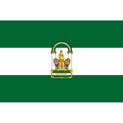 Bandera Andalucia Con escudo